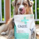 a dog holding a bag of dog food